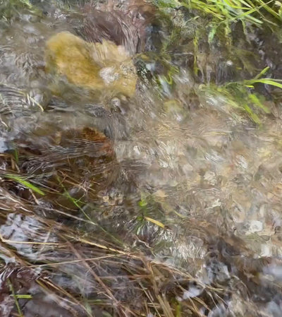All-in-one gold panning starter set displayed on rock beside flowing river