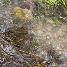 Close-up of natural gold-bearing gravel and mineral-rich paydirt before panning